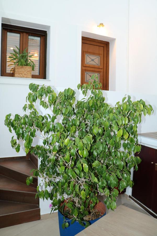 Angelica'S Deluxe Rooms In Adamas Dış mekan fotoğraf
